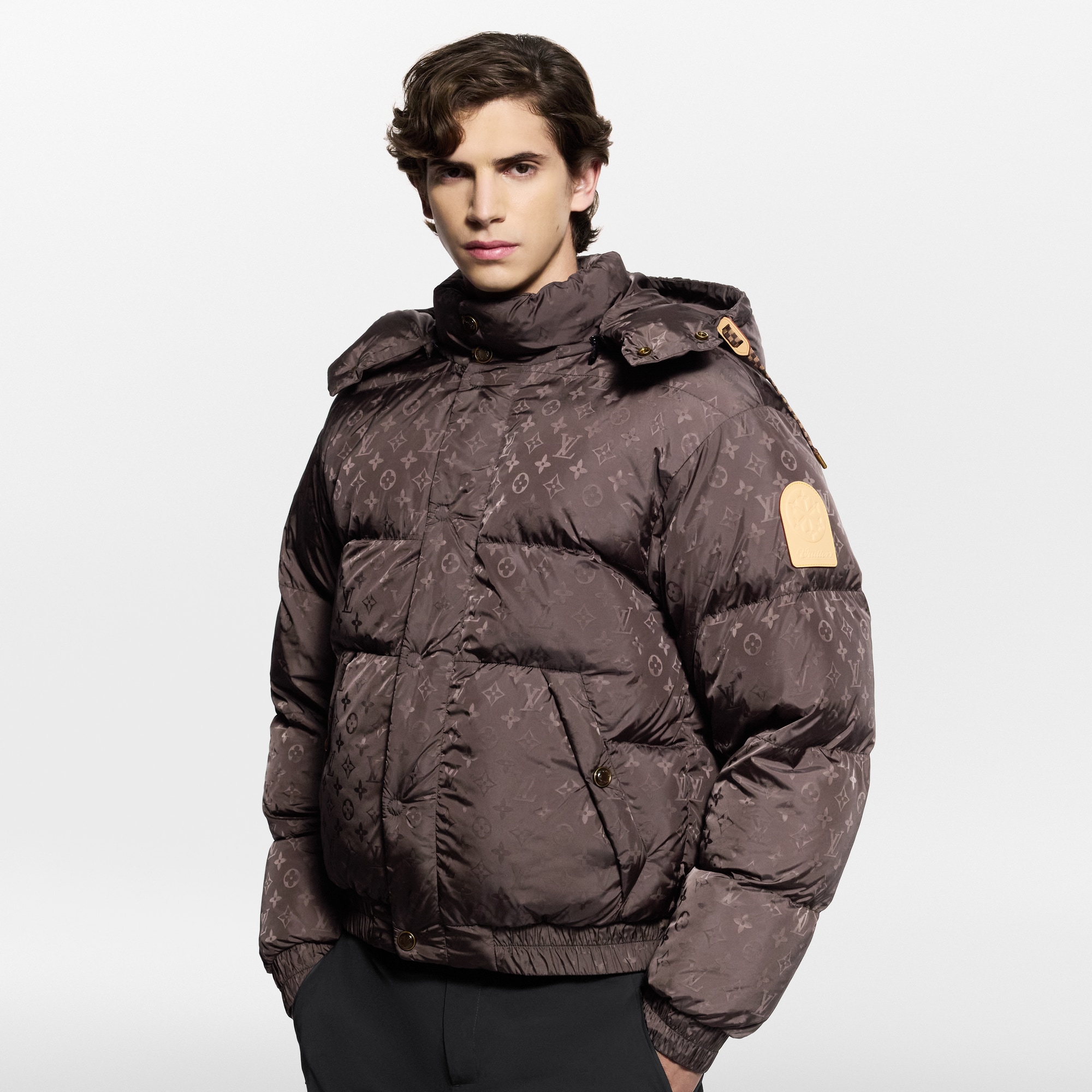 Monogram Down Blouson - New - For Men | LOUIS VUITTON ®